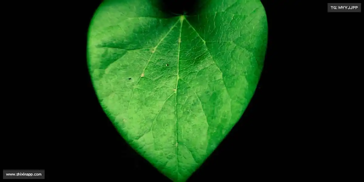 BG大游🥋从新手到高手,从兴趣到热爱!首页干货,陪你走好每一步~